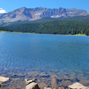 Meet your Posher, Alicia